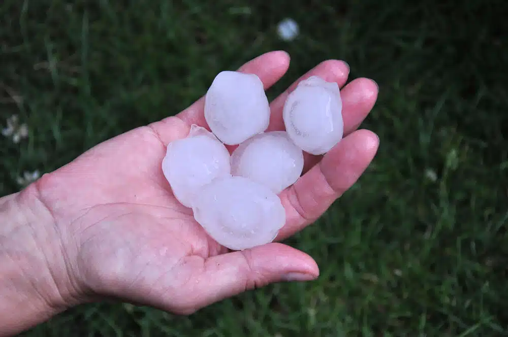 hail stones in a hand