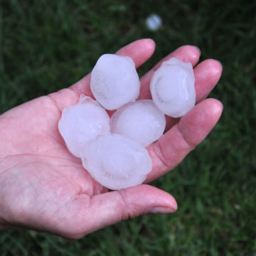 hail stones in a hand