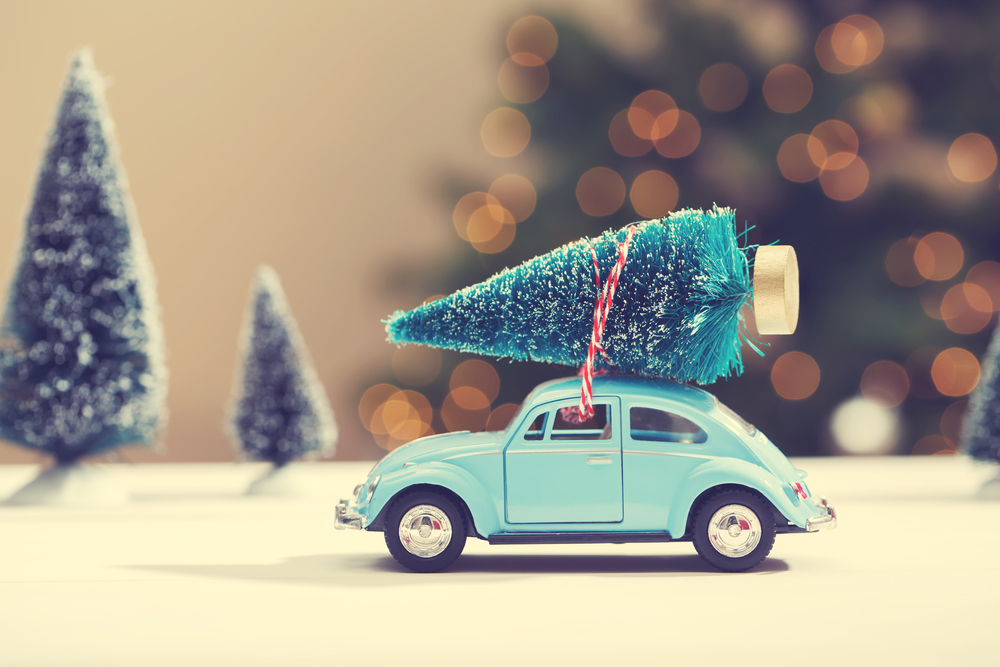 Tis The Season! Which Vehicle Would YOU Gift, If You Were Giving A